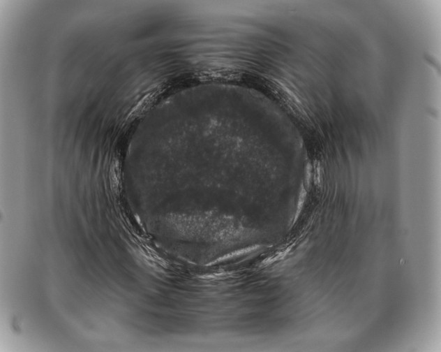 X0000094780915200712071201