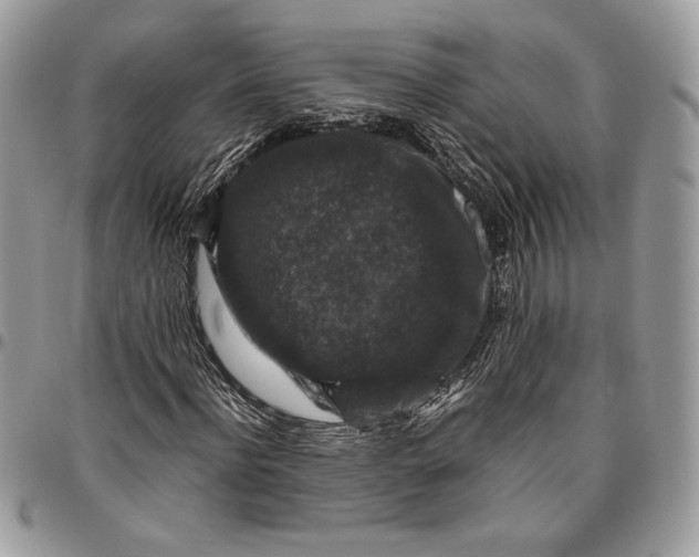 X0000094780916200712071201