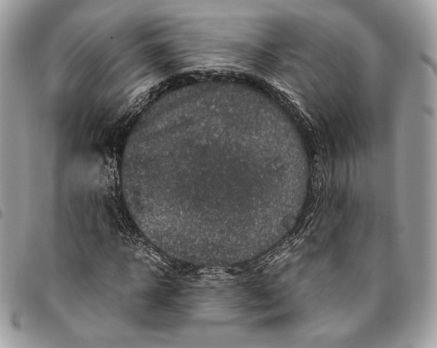 X0000094780918200712071201