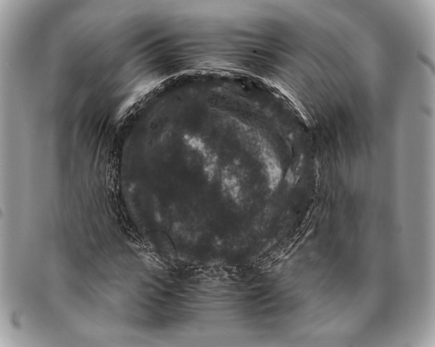 X0000094780919200712071201