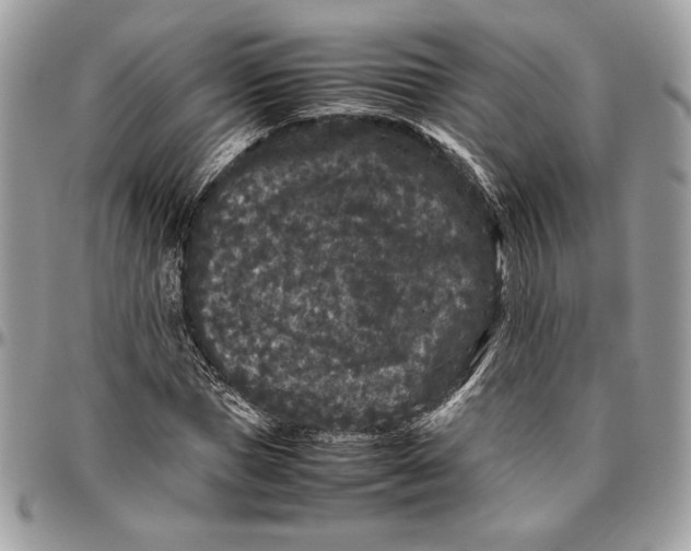 X0000094780921200712071201