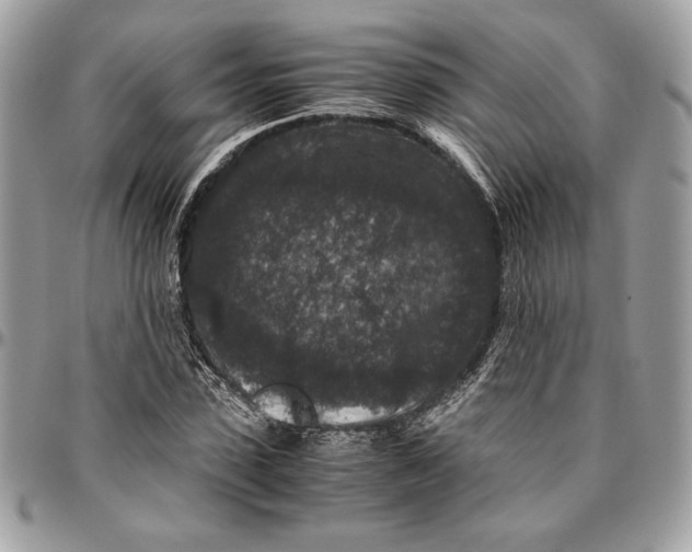 X0000094780923200712071201