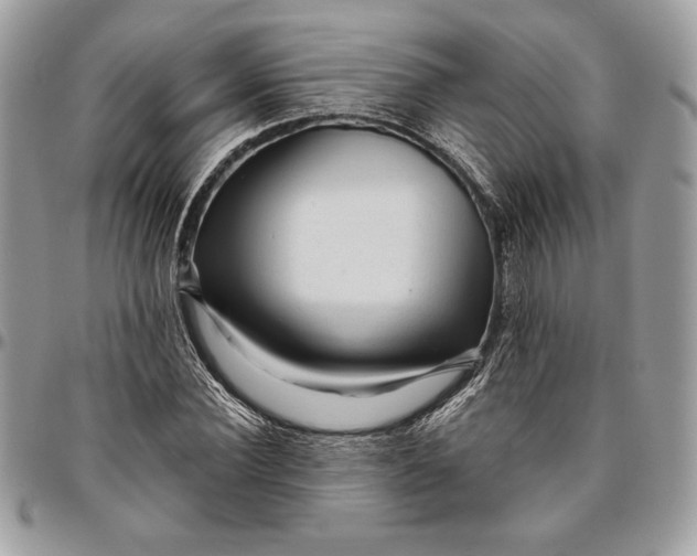 X0000094780924200712071201