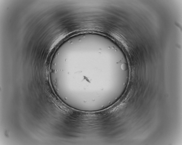 X0000094780925200712071201