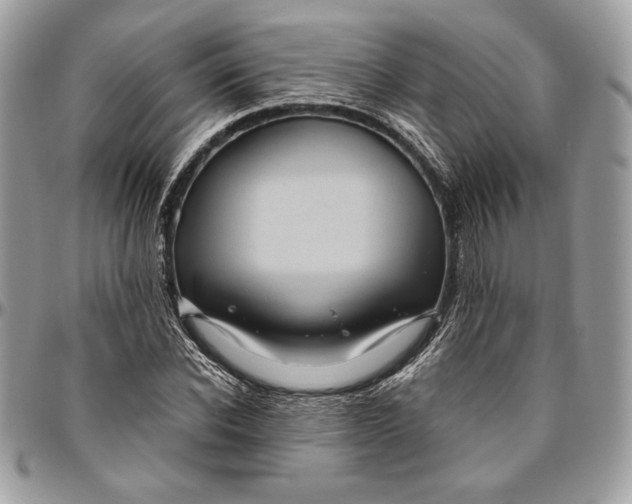 X0000094780926200712071201