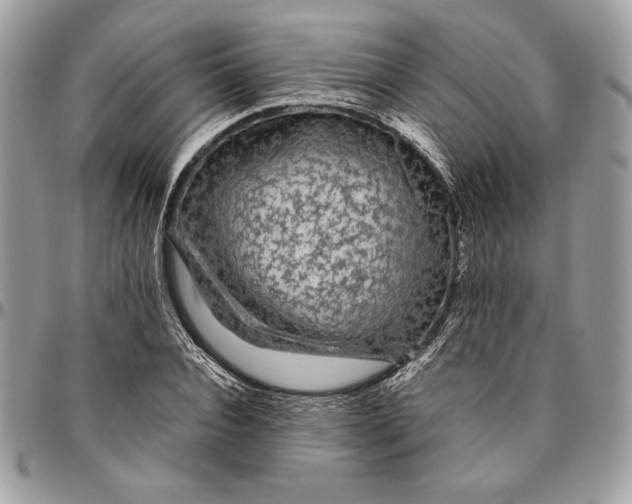 X0000094780928200712071201