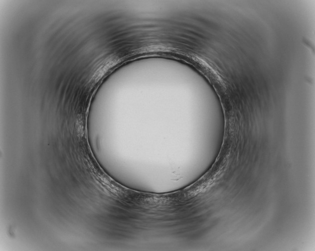 X0000094780929200712071201