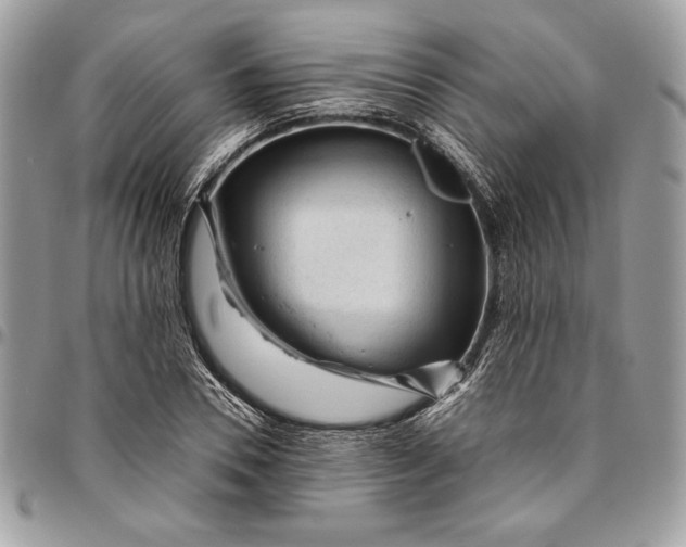 X0000094780930200712071201