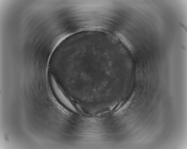 X0000094780932200712071201