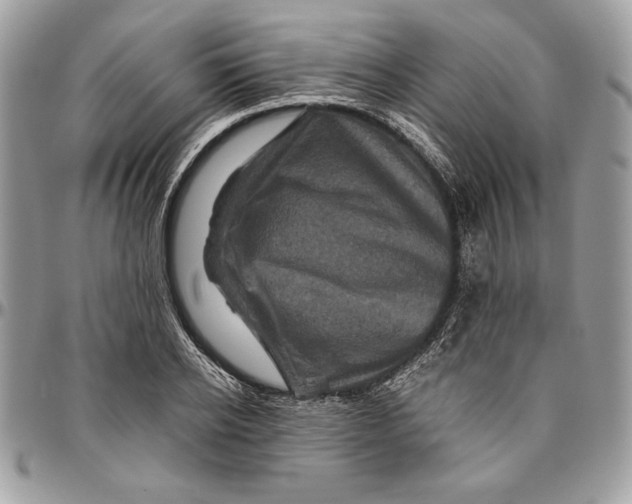 X0000094780934200712071201