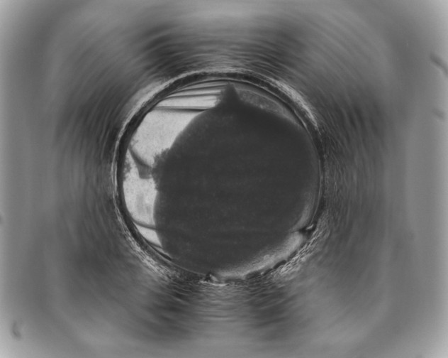 X0000094780935200712071201