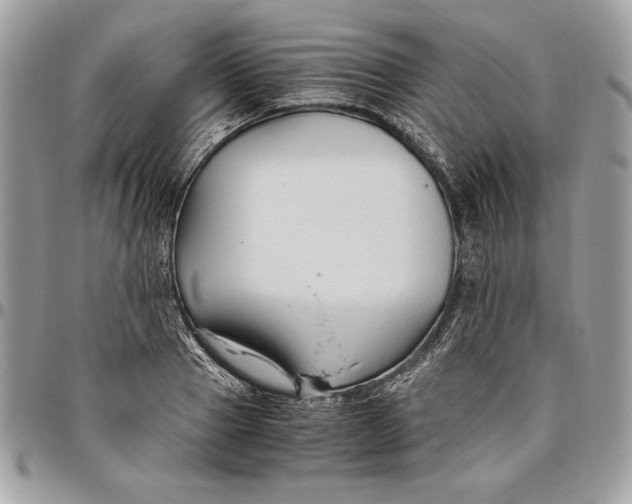 X0000094780937200712071201