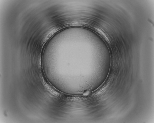 X0000094780938200712071201