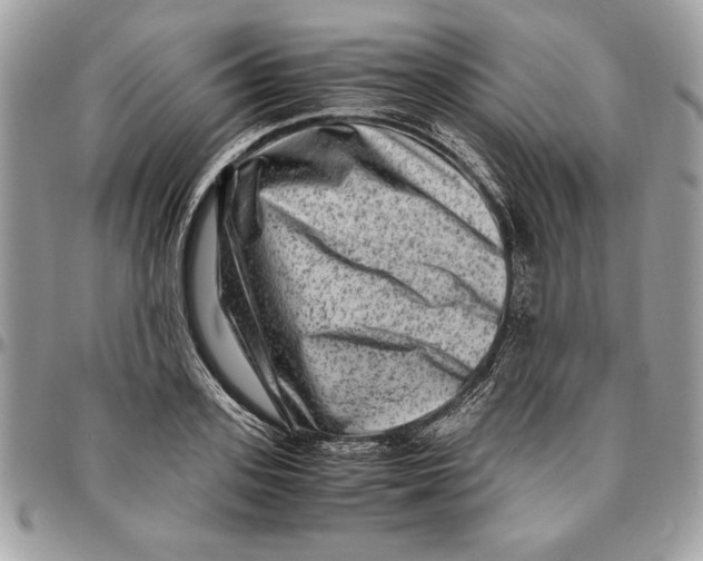 X0000094780939200712071201