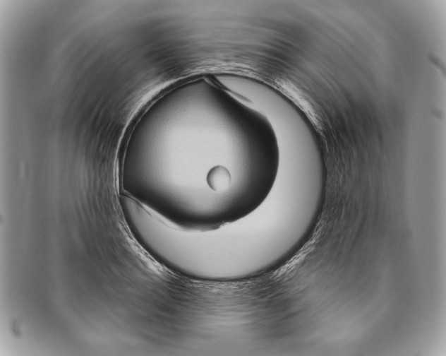 X0000094780940200712071201