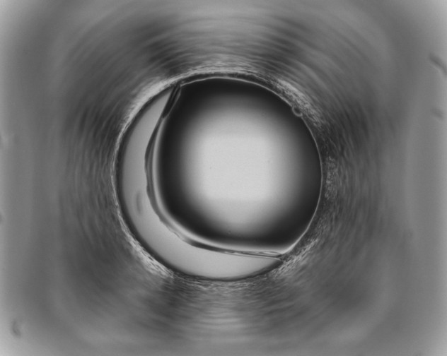 X0000094780942200712071201