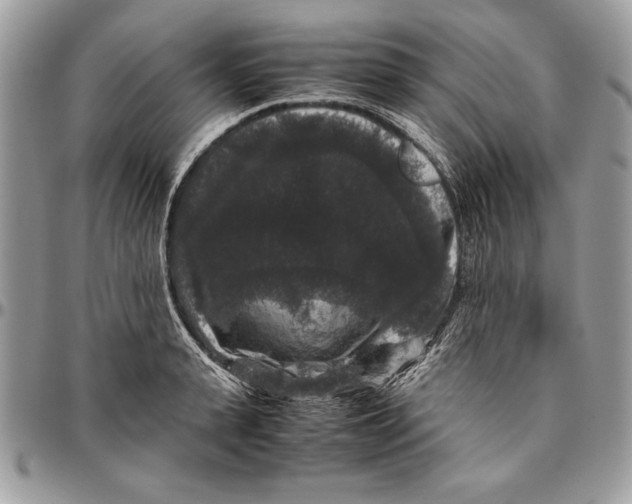 X0000094780943200712071201