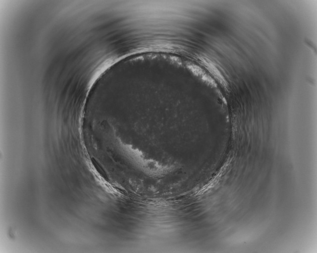 X0000094780944200712071201