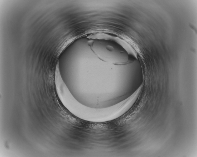 X0000094780945200712071201