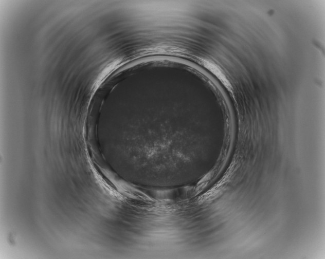 X0000094780946200712071201