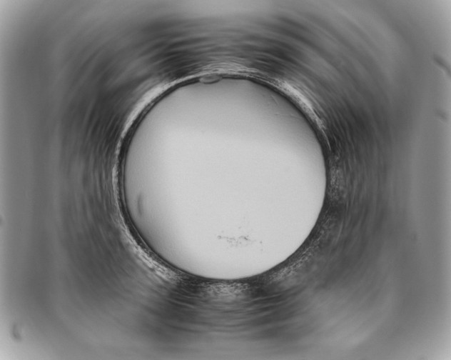 X0000094780947200712071201