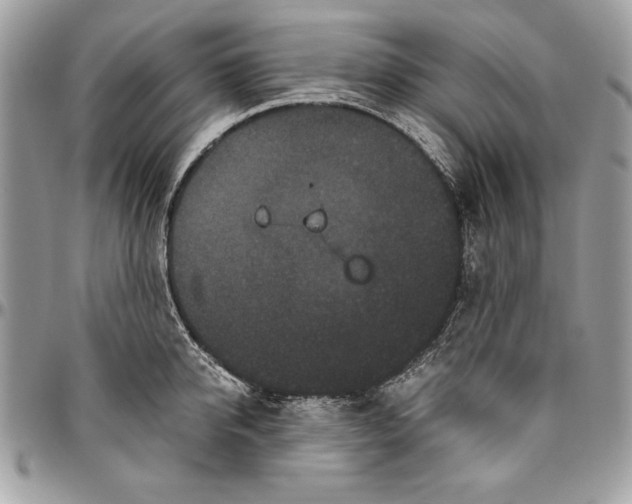 X0000094780950200712071201