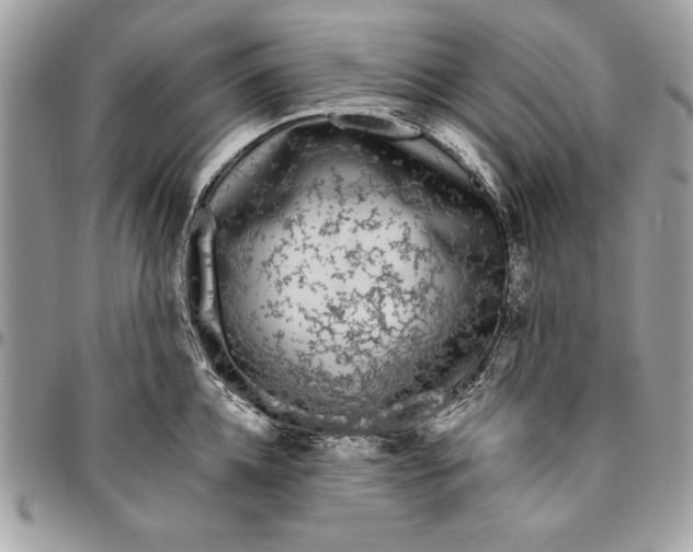 X0000094780952200712071201