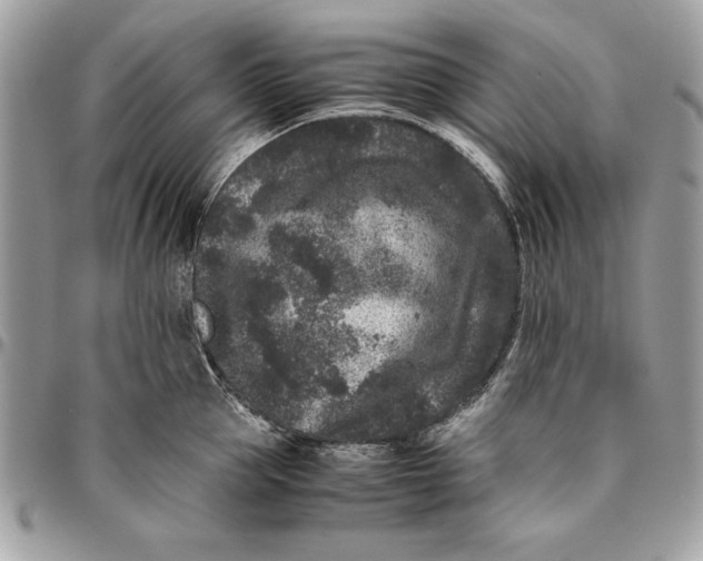 X0000094780953200712071201