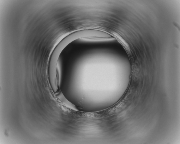 X0000094780956200712071201