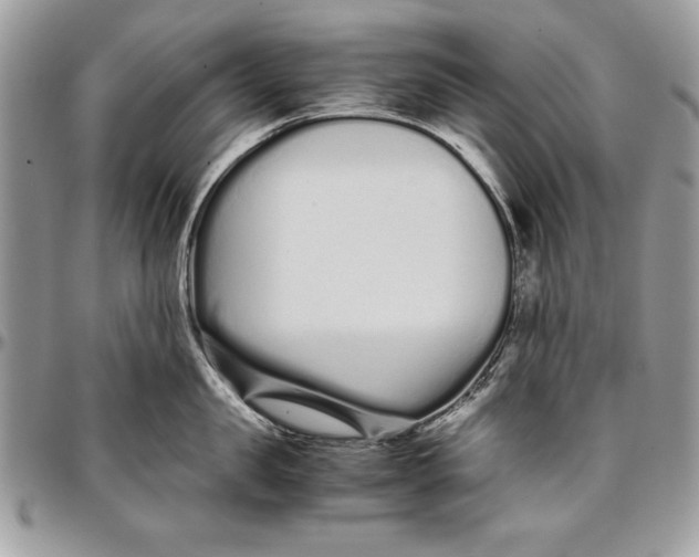 X0000094780957200712071201