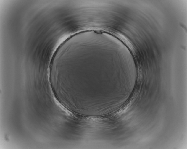 X0000094780958200712071201