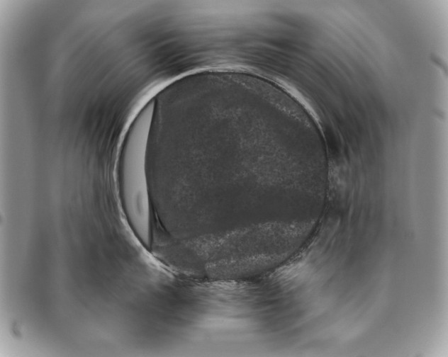 X0000094780959200712071201