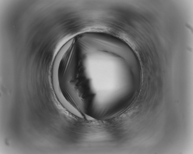 X0000094780960200712071201