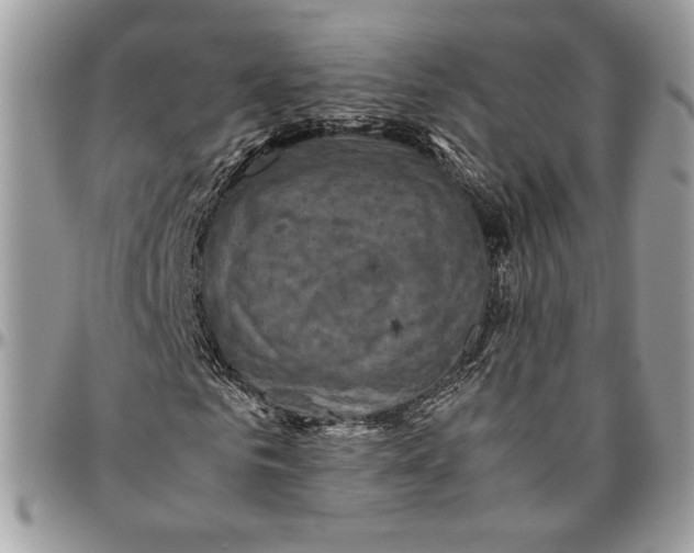 X0000094780961200712071201