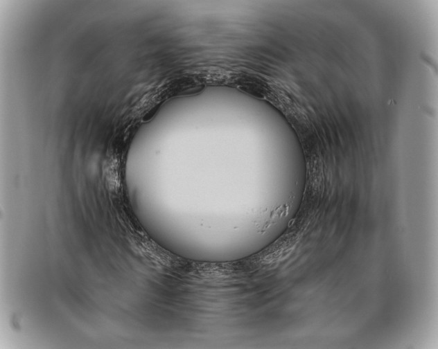 X0000094780962200712071201