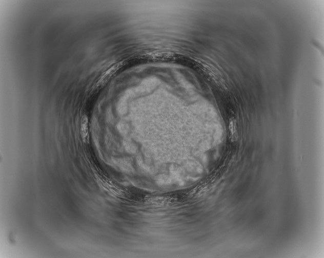 X0000094780963200712071201