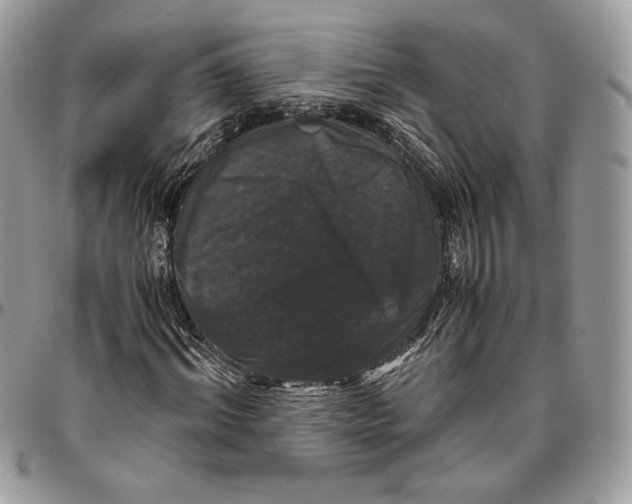 X0000094780964200712071201