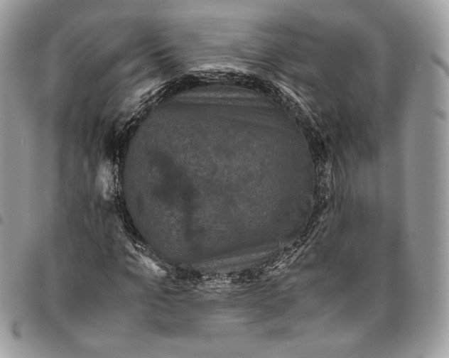 X0000094780965200712071201