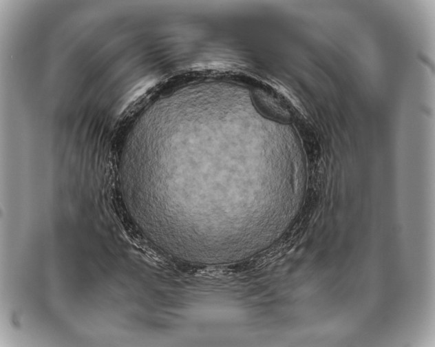 X0000094780967200712071201