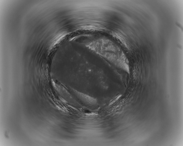 X0000094780968200712071201