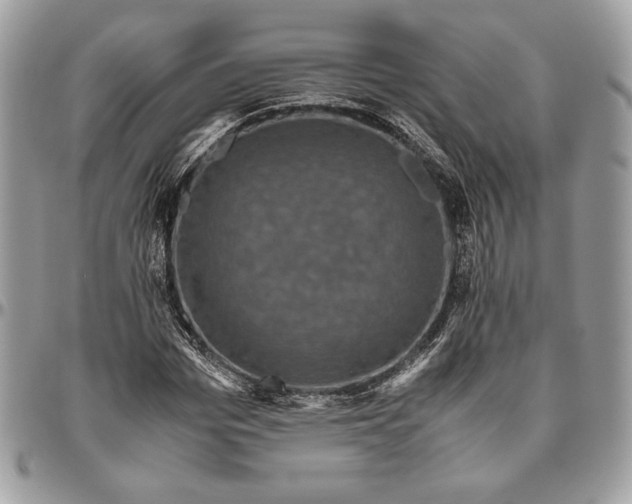 X0000094780969200712071201