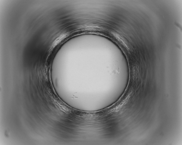 X0000094780970200712071201