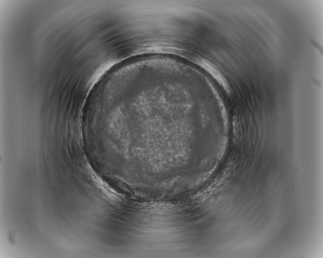 X0000094780972200712071201