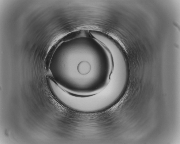 X0000094780973200712071201