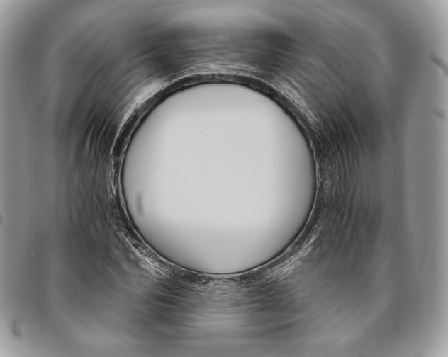 X0000094780974200712071201