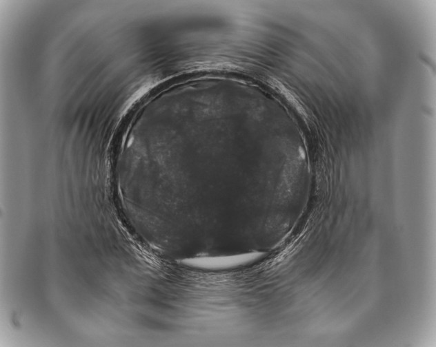 X0000094780975200712071201