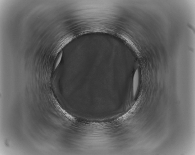 X0000094780977200712071201