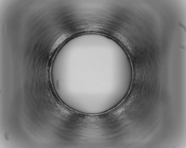 X0000094780978200712071201