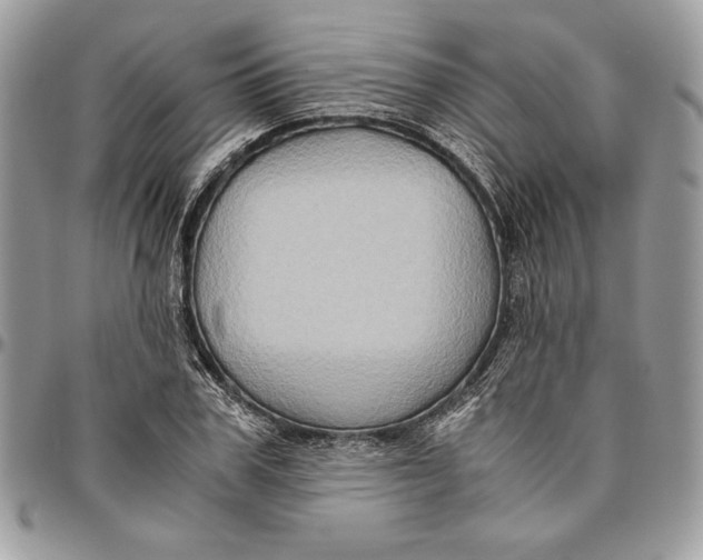 X0000094780979200712071201