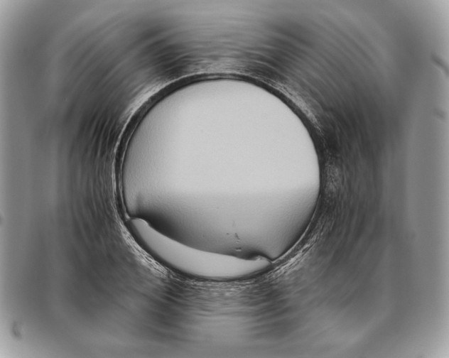 X0000094780980200712071200